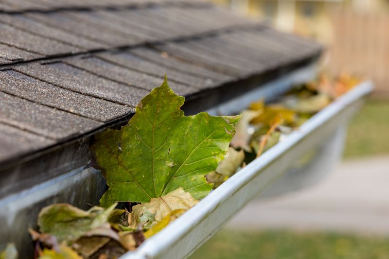 Gutter System with Leaf Guards