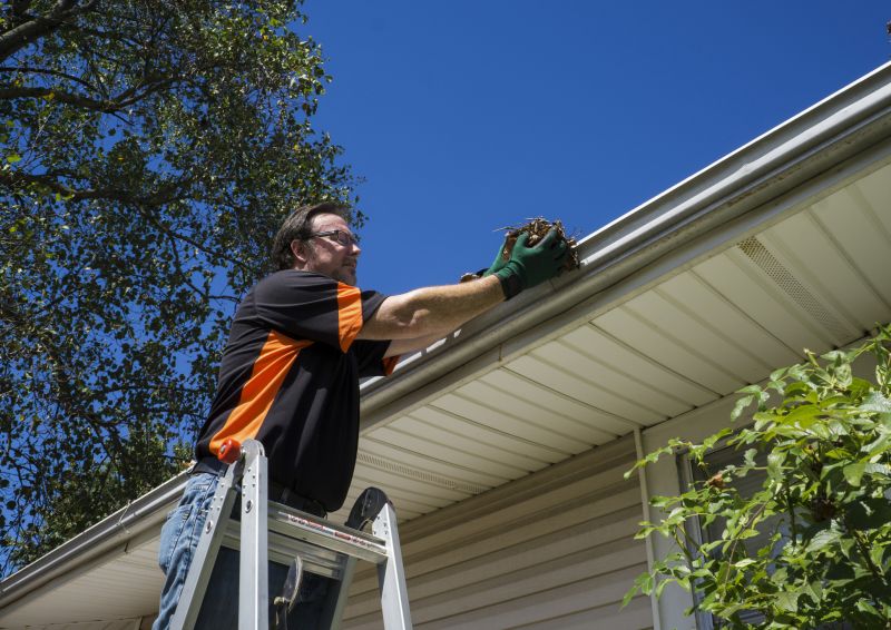 Professional Gutter Service